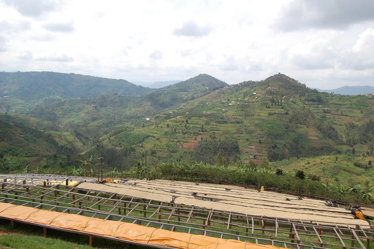 Rwanda Coko Bio