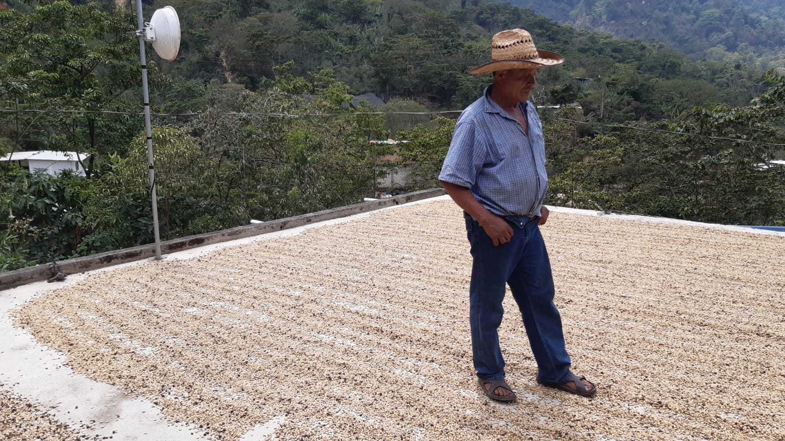 Deca Mexico Fedesi MW BIO