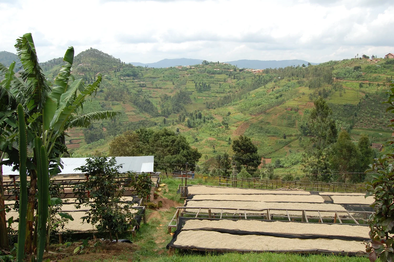 Rwanda Coko Bio
