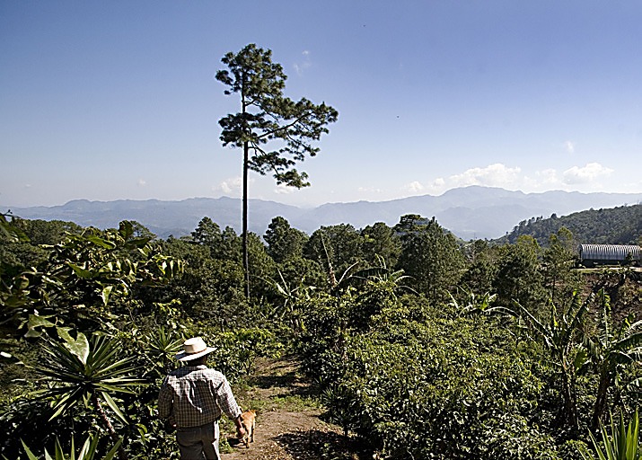 Honduras Dos Caminos BIO