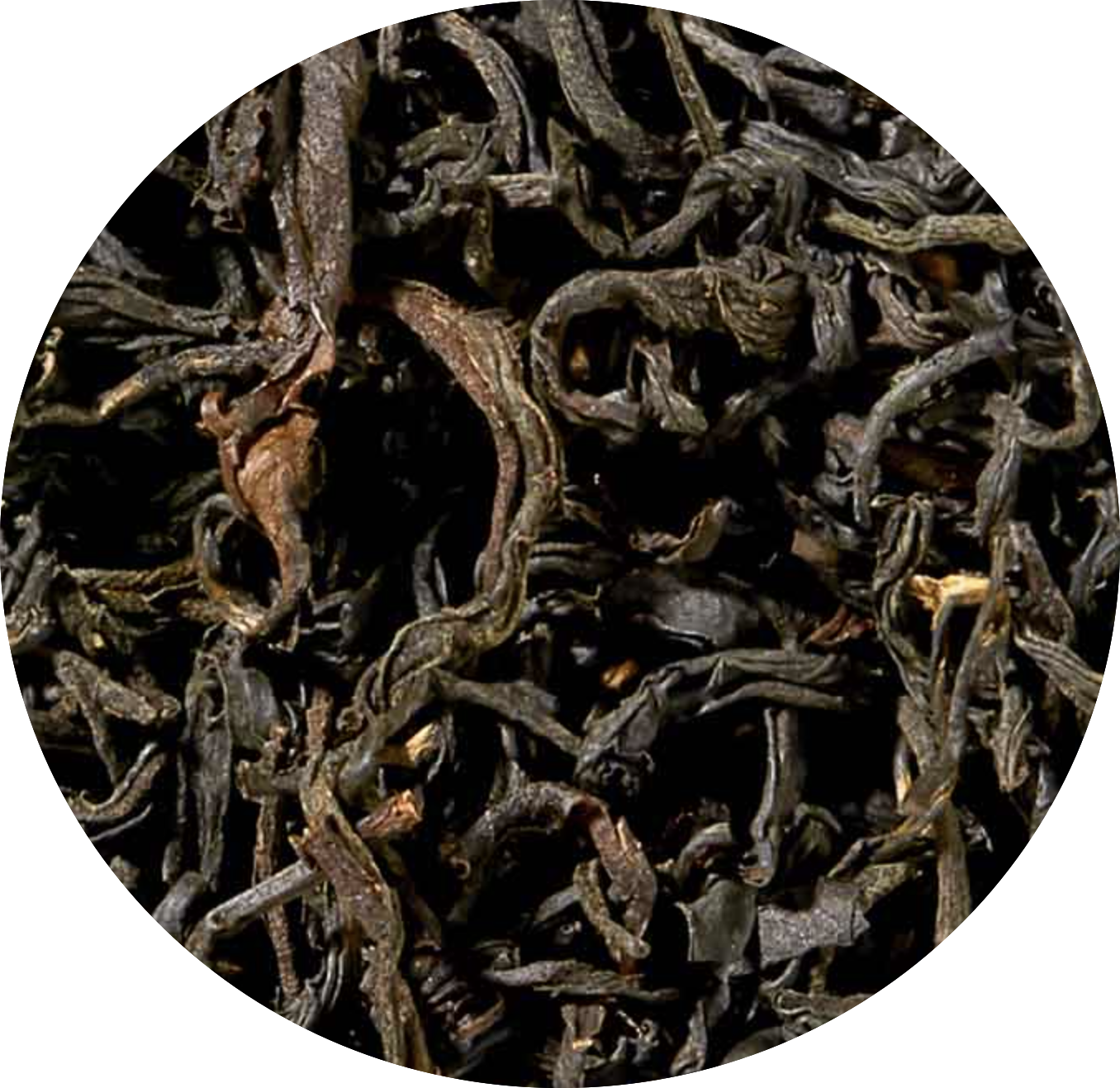 Java BIO