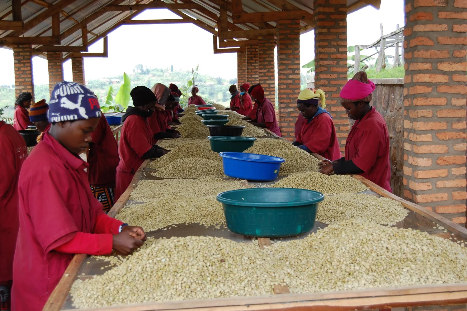 Rwanda Coko Bio