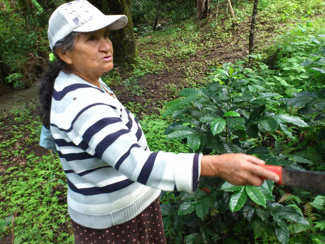 Ecuador La Chacana