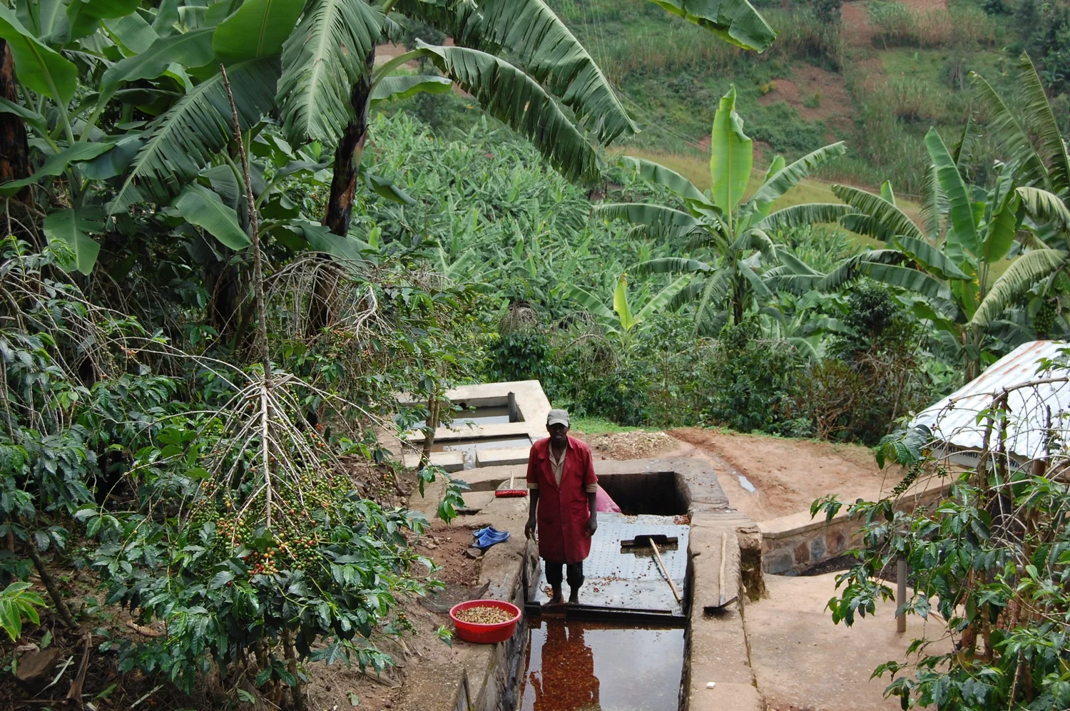 Rwanda Coko Bio