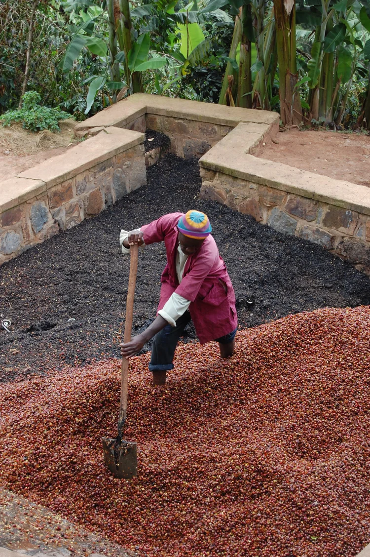 Rwanda Coko Bio