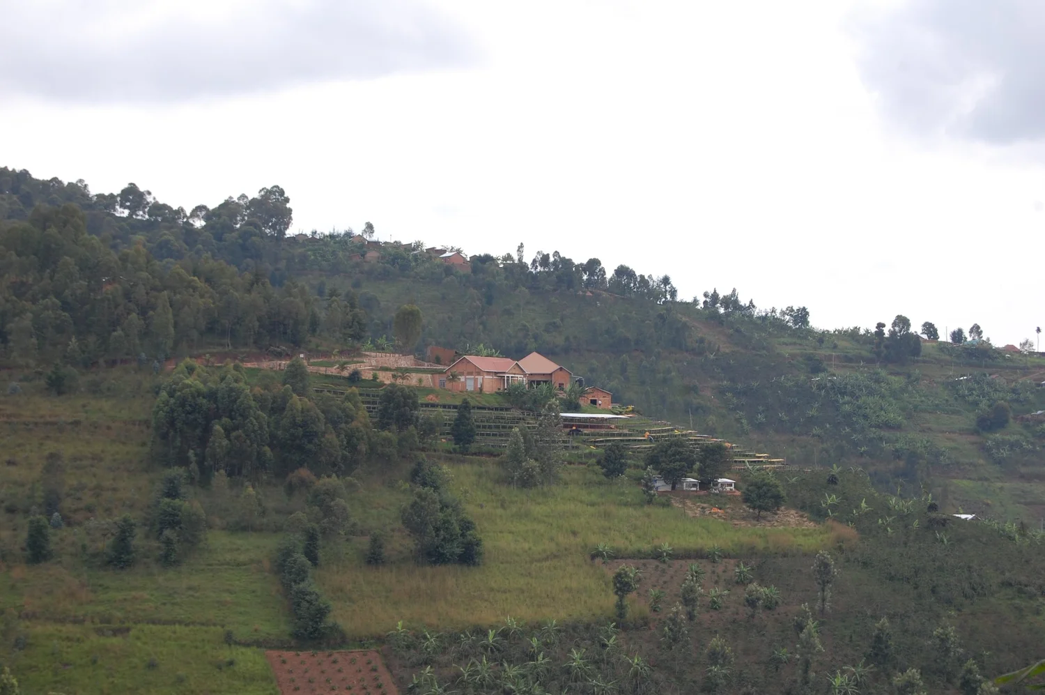 Rwanda Coko Bio